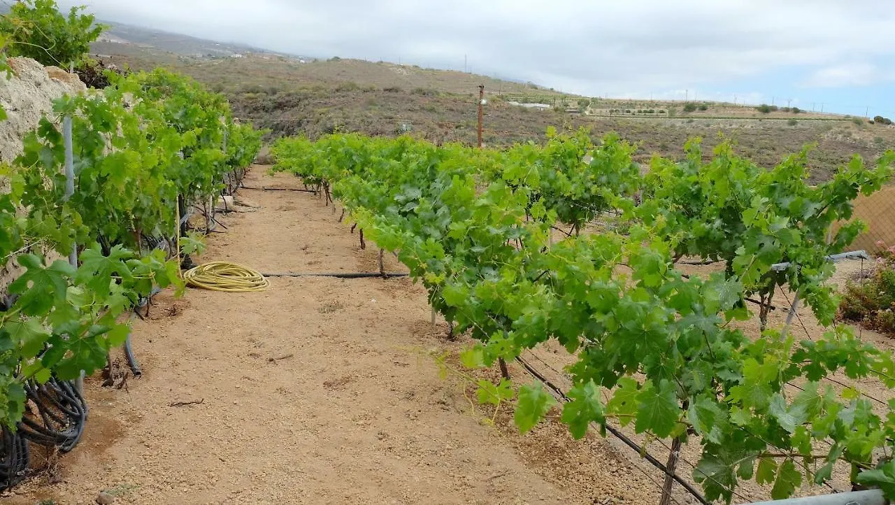 Casa En Finca De Uva Con Piscina Privada, Cubierta Y Climatizada La Degollada