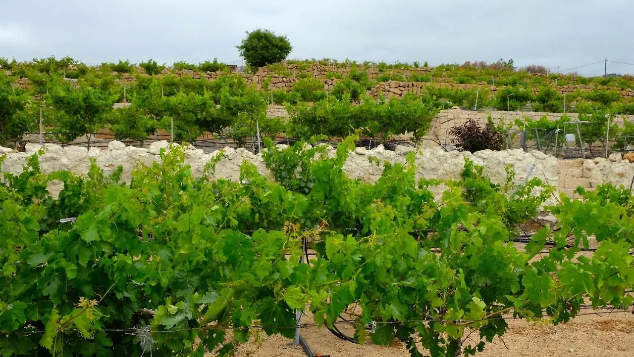 Casa En Finca De Uva Con Piscina Privada, Cubierta Y Climatizada La Degollada 0*,  إسبانيا